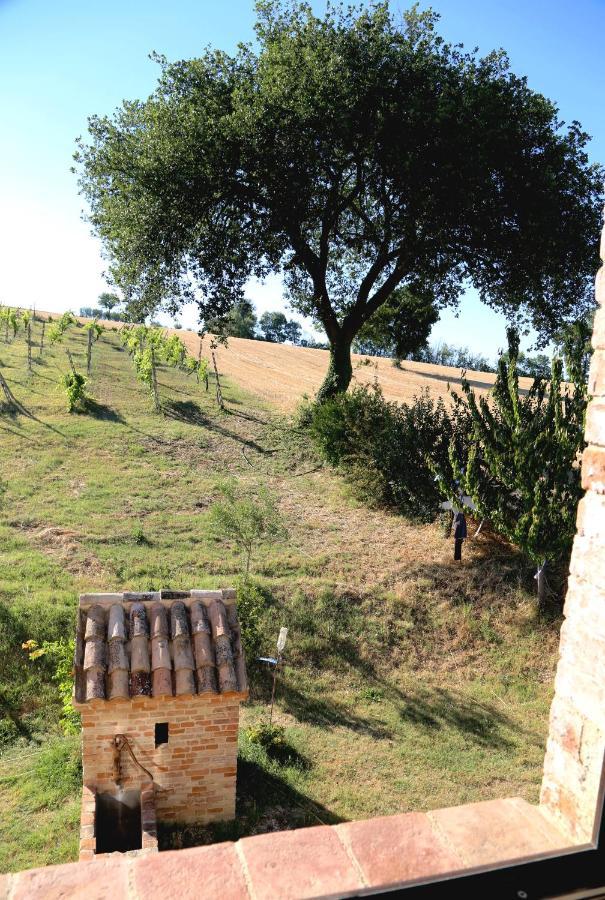 B&B Mik E Ramo Abbadia di Fiastra Bagian luar foto